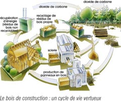 Le bois de construction : un cycle de vie vertueux